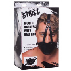 Strict Masque de Bouche avec Baillon Boule